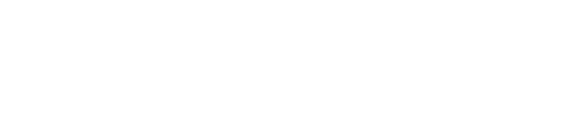 PRO HOME